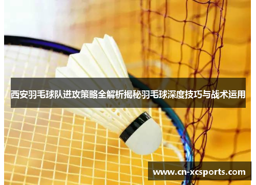 西安羽毛球队进攻策略全解析揭秘羽毛球深度技巧与战术运用