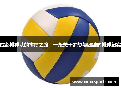 成都排球队的拼搏之路：一段关于梦想与团结的排球纪实