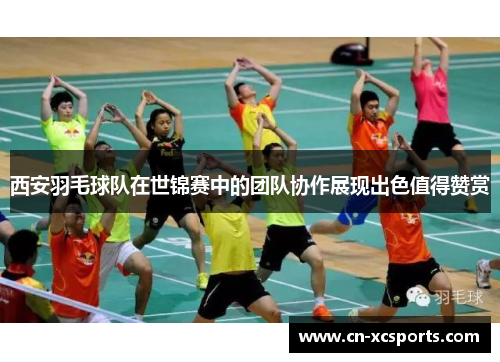 西安羽毛球队在世锦赛中的团队协作展现出色值得赞赏