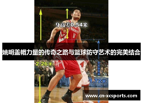 姚明盖帽力量的传奇之路与篮球防守艺术的完美结合