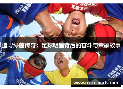 追寻绿茵传奇：足球明星背后的奋斗与荣耀故事
