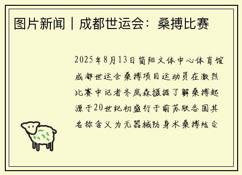 图片新闻｜成都世运会：桑搏比赛